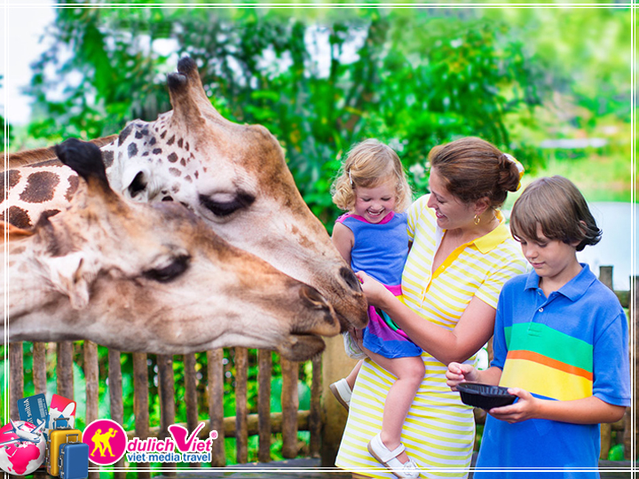 Du Lịch Free and Easy Phú Quốc giá tốt Vinpearl Safari 3 ngày 2 đêm